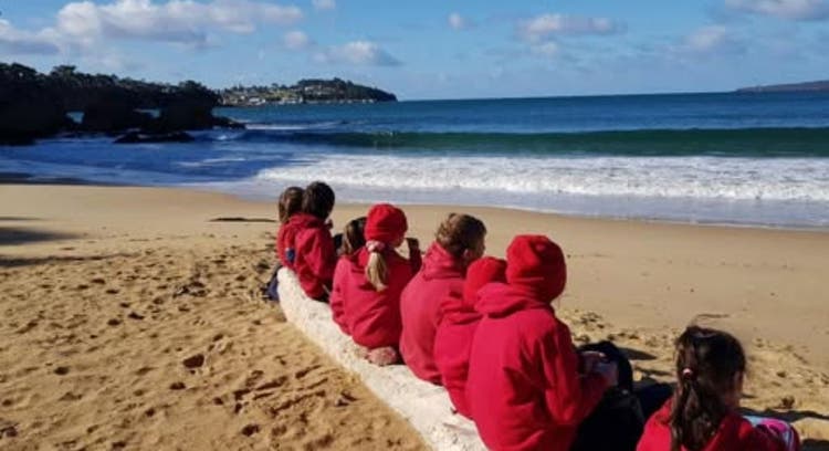 Students sitting on a beach on excursion